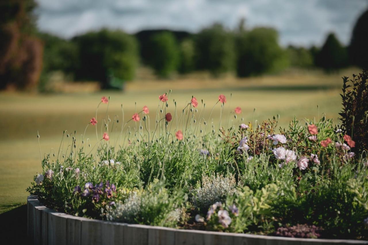 Gumbalde Resort Stånga エクステリア 写真